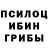 Галлюциногенные грибы MAGIC MUSHROOMS Less Morley